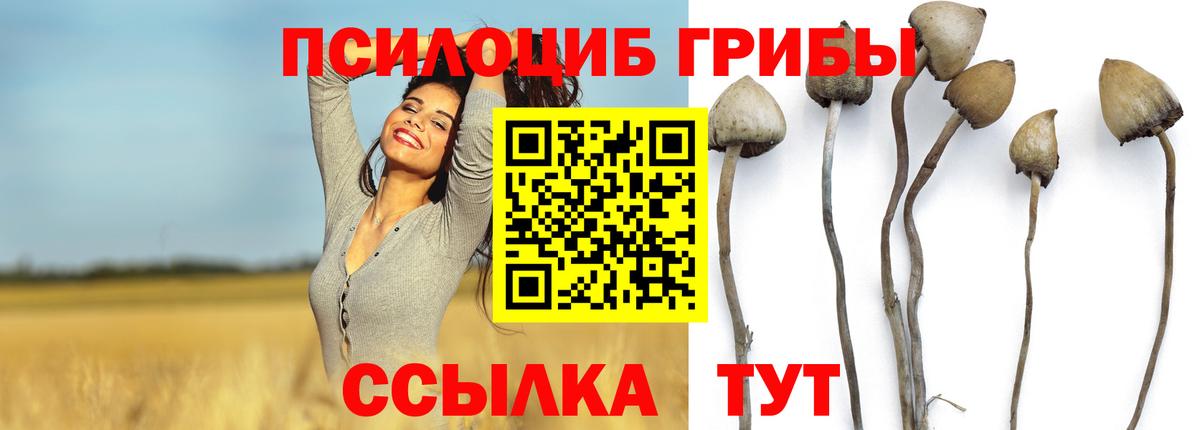 Галлюциногенные грибы мухоморы  Урус-Мартан 